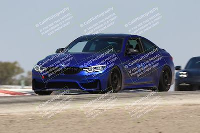 media/Jul-26-2025-Speed Ventures (Sat) [[fe569e6cf0]]/Black Group/Grapvine/